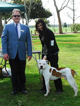 Ajax wins Best in Show under Judge Mark Golden