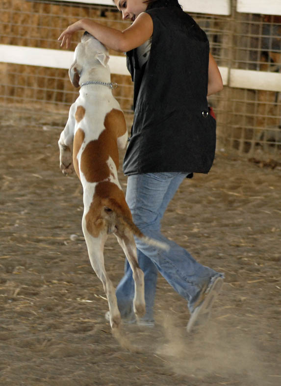 young Ajax and Amy working on flashy heeling