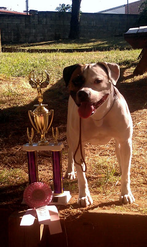 Pink wins the Brood Bitch class with Fuchsia and Frak