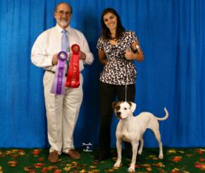 Pink winning Best of Breed under Judge Dennis Blickenstaff 